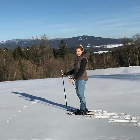 Hubertus Bischofsmais