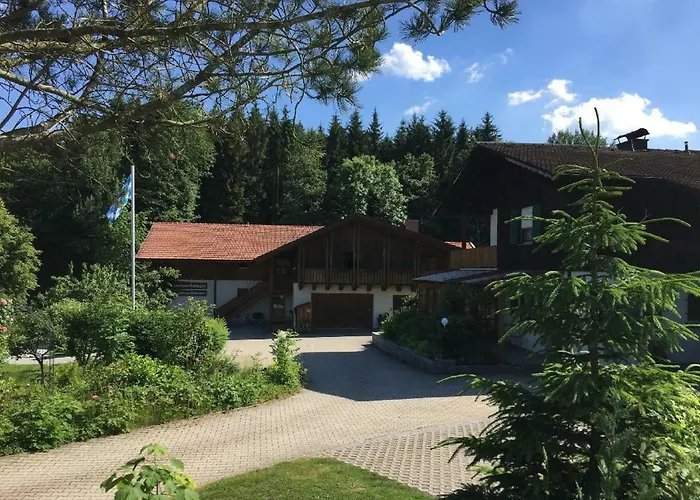 Hubertus